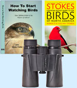 Better Starter Kit